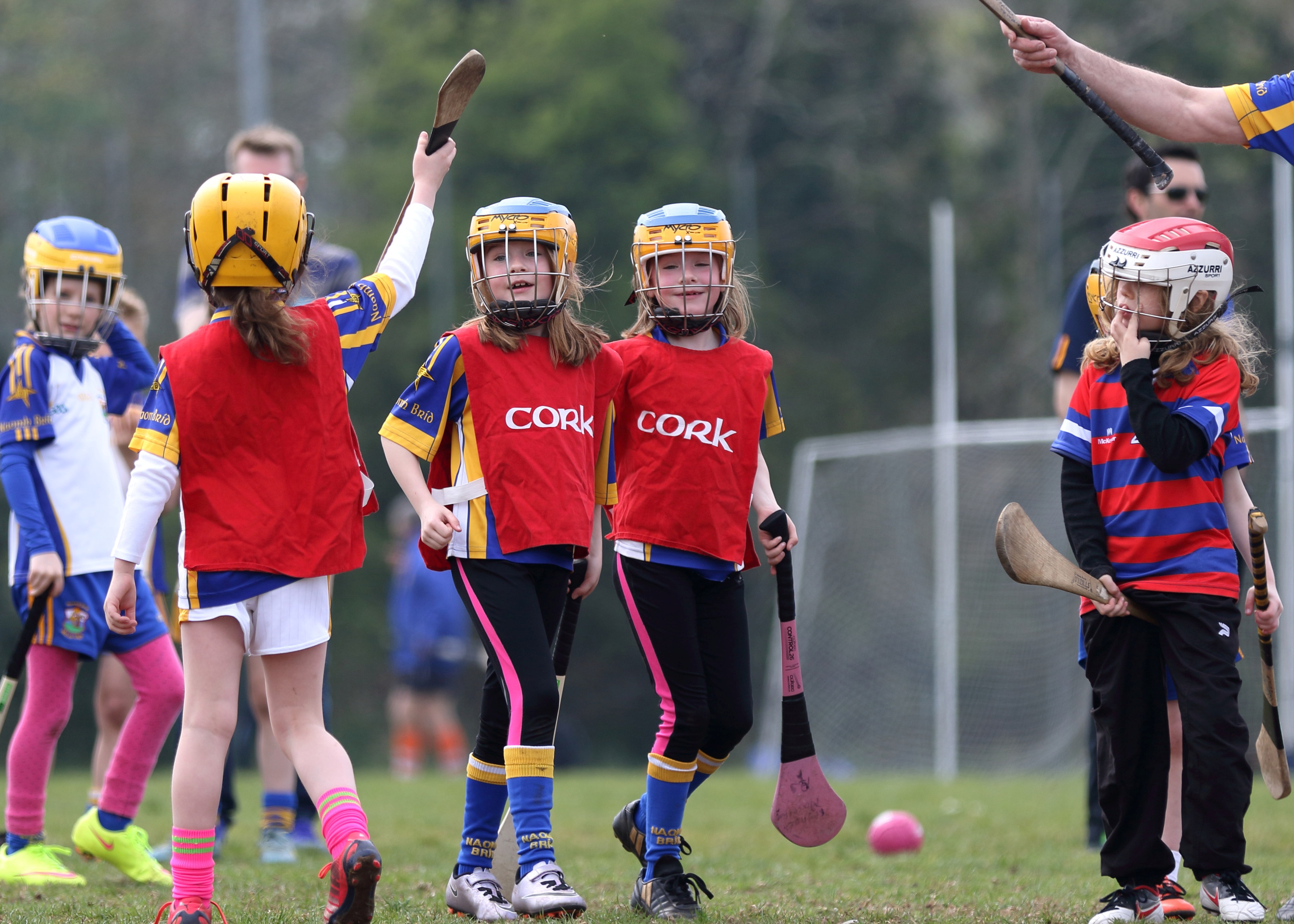Hurling Camogie News 17th August 2016