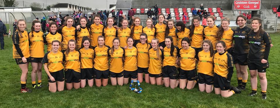 St Brigid’s Ladies Footballers Excel On The Inter-County And Provincial Stage…While Minor Ladies Muck In At HQ!