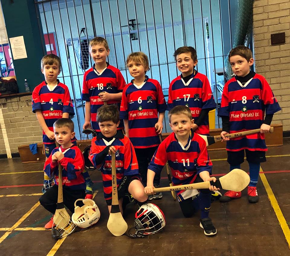 Strong Week For Brid Og Hurlers As U8s Qualify For Top Tier!