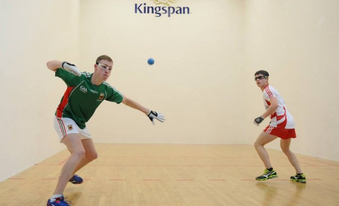 Interested In Playing Handball With Naomh Brid?